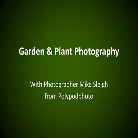 Garden & Plant Photography