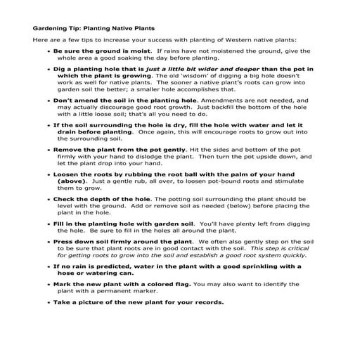 Garden tips   planting native plants 