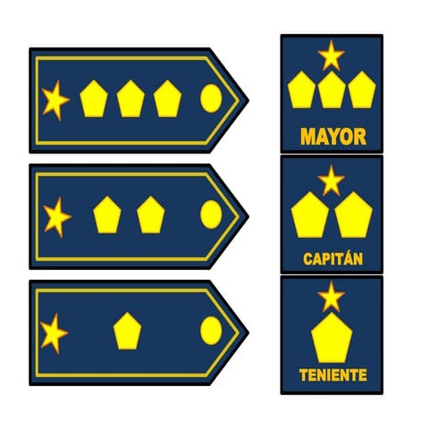 Hierarchy and Ranks in Rescue and Official Positions Explained | PPTX