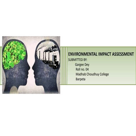 Environment Impact Assessment (EIA)