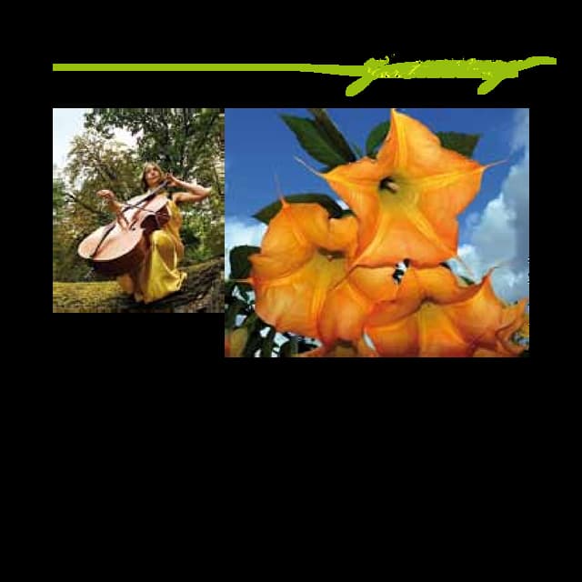 Gartenklänge-Inhalt-RZ.pdf