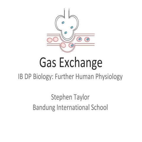 Gas Exchange (Further Human Physiology)