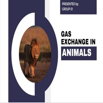 Gas-Exchange-in-Animals fourth quarter.pptx