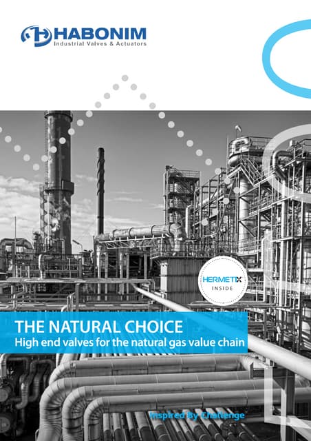 Industrial Valves for Gas Distribution, CNG, LNG