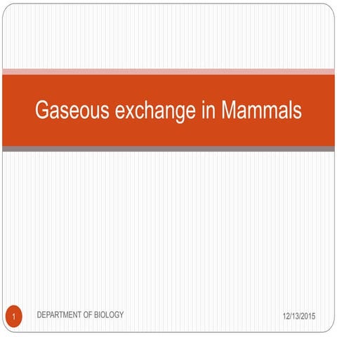 Gaseous exchange in mammals