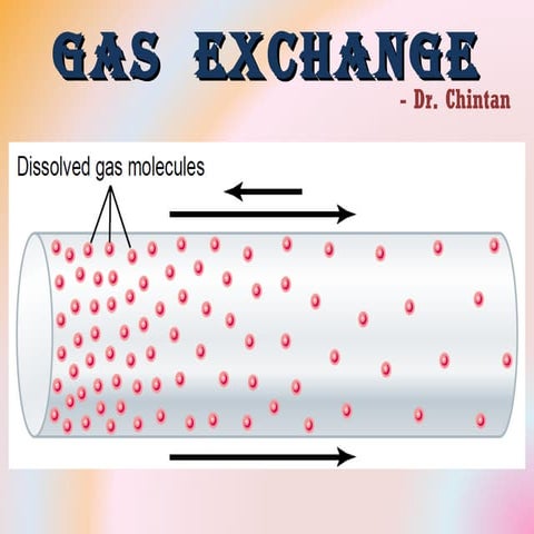 Gas exchange