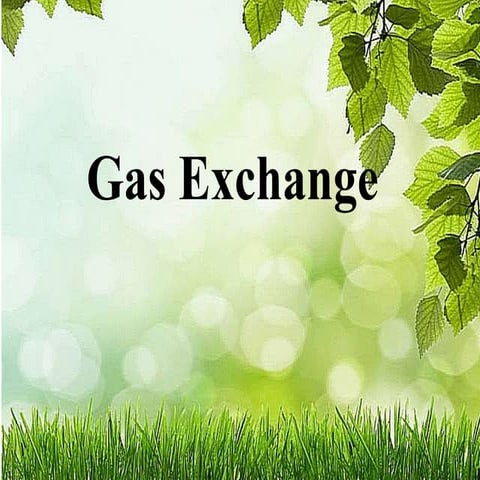 gas exchange.pptx