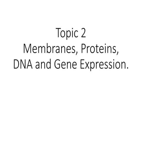 Presentation on Gas Exchange for future Biologists