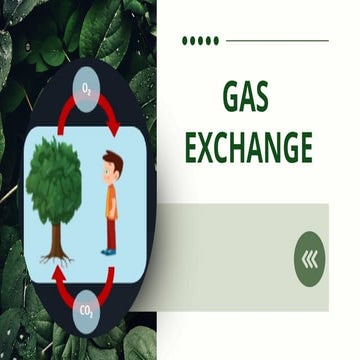 Topic about Gas Exchange in Plants and Animals.pptx