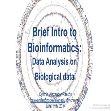 Brief introduction to Bioinformatics