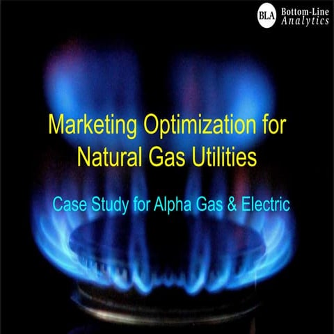Marketing Optimization for Natural Gas Utilities