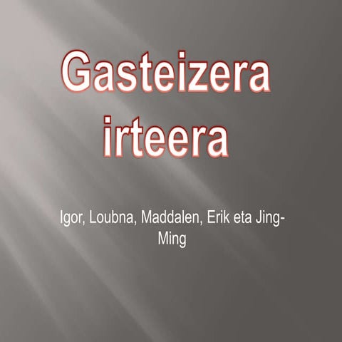 Gasteizko irteera 2A - MELI