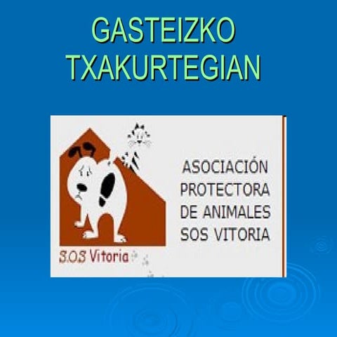 Gasteizko txakurtegian