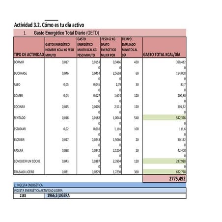 Gasto energetico diario intef 2