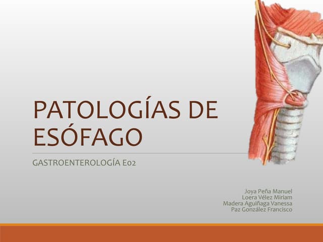 Gastroenterología- patología esófago