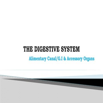 The digestive system ppt | PPTX