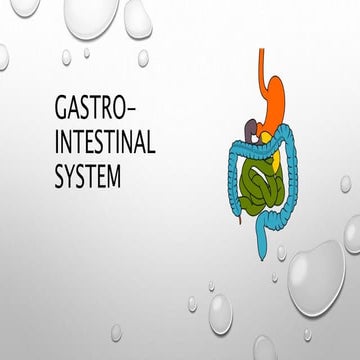 Gastrointestinal System.pptx