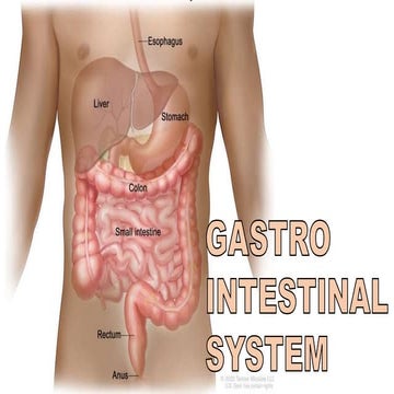 GASTROINTESTINAL SYSTEM EXAMINATION.pptx