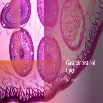 PATHOLOGY FOR GASTROINTESTINAL TRACT 4th Semester