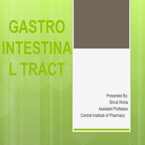 Gastrointestinal Tract: Anatomy & Physiology