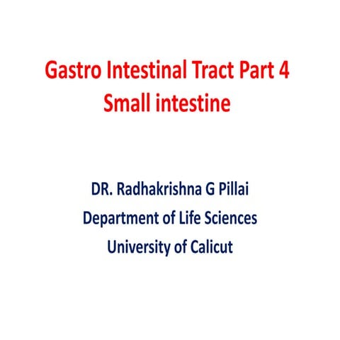 Gastro intestinal tract part  4