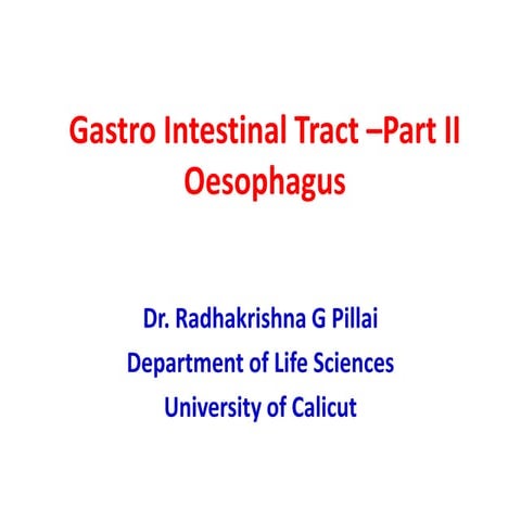 Gastro intestinal tract –part ii oesophagus-stomach