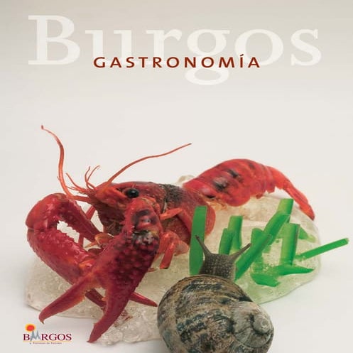 Gastronomia de-burgos