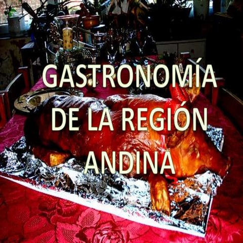 Gastronomia de la Region Andina