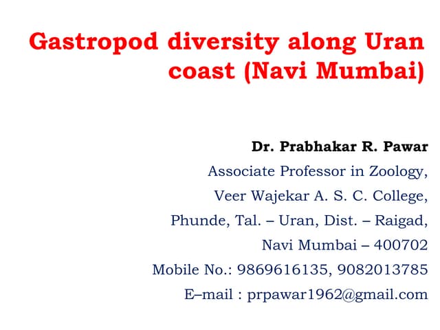 Gastropod diversity along Uran coast, Navi Mumbai 