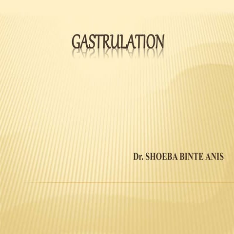 GASTRULATION final.pptx