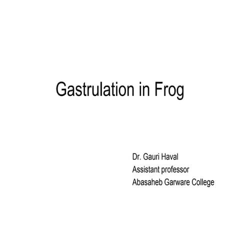 Gastrulation in frog