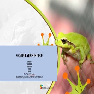 Gastrulation in Frog.pptx