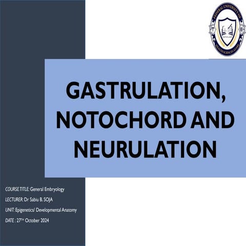 GASTRULATION, NOTOCHORD AND NEURULATION.pptx