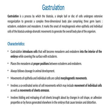 GastrulE DUCATIONation IN INDIAN PHYLOSOPHY.pptx