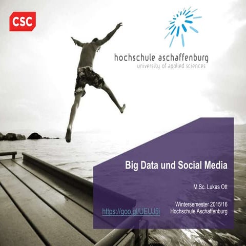 Big Data und Social Media