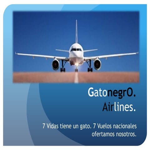 Gatonegro Airlines 