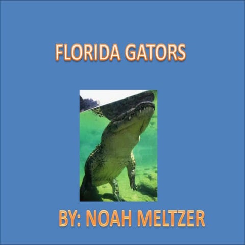 Gators | PPTX