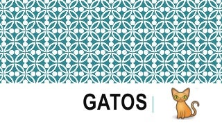 Gatos