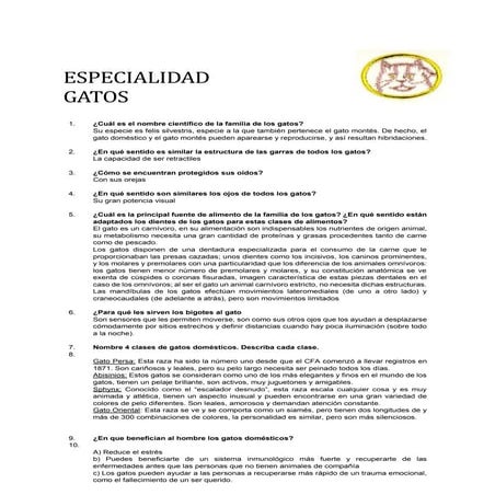 Especialidad Gatos