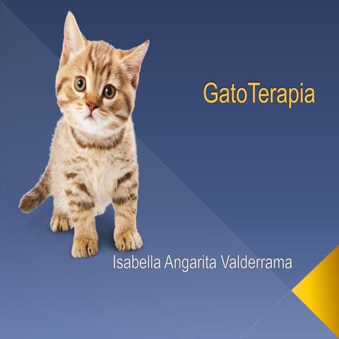 Gato terapia