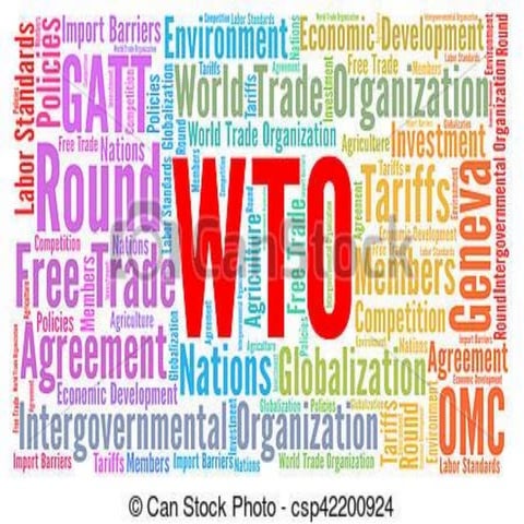  World Trade Organization (WTO)
