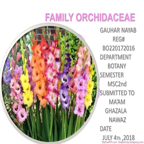 family orchidaceae ppt