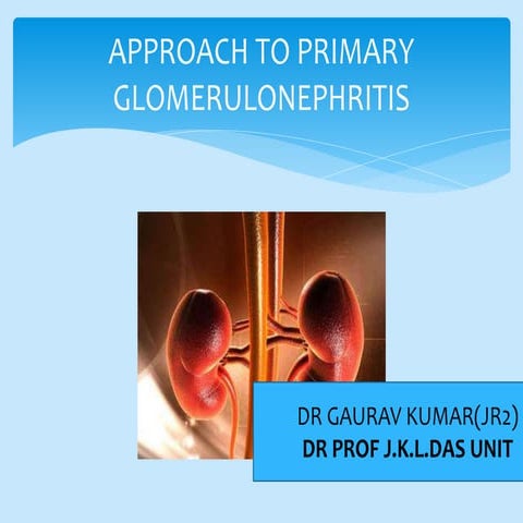 Approach to primary glomerulonnephritis