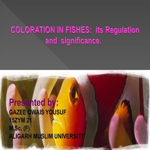 COLORATION IN FISHES:  its Regulation and  significance by GAZEE OWAIS 
