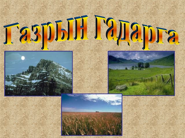дэлхийн гадарга