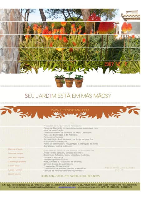 flyer