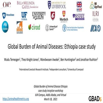 Global Burden of Animal Diseases: Ethiopia case study