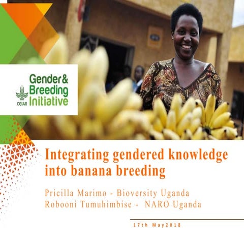 Integrating gendered knowledge into banana breeding