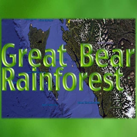 Great Bear Rainforest