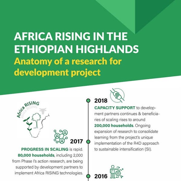 Africa RISING in the Ethiopian Highlands: Anatomy of a research for developme...
